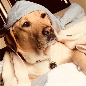 Meet your Posher, Tanya